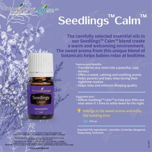 Seedlings Calm 夢寶貝