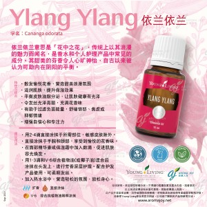 Ylang Ylang 依蘭依蘭