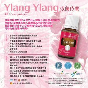 Ylang Ylang 依蘭依蘭