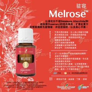 Melrose 駐容