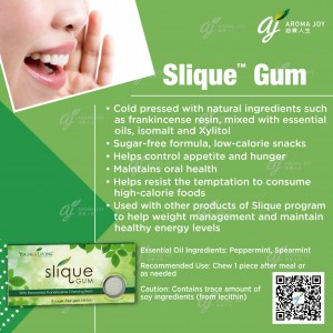 Slique Gum 口香糖