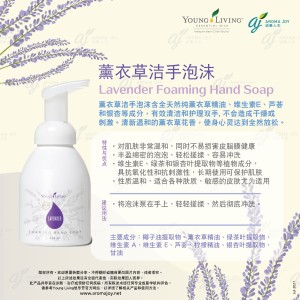 Lavender Foaming Hand Soap 薰衣草潔手泡沫