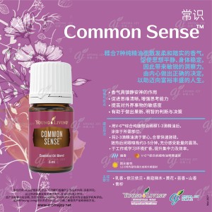 Common Sense 常識