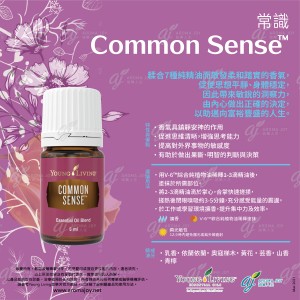 Common Sense 常識