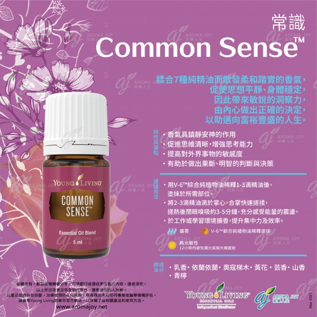 Common Sense 常識
