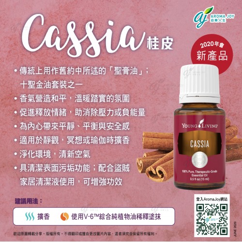Cassia 桂皮