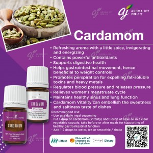 Cardamom 小豆蔻