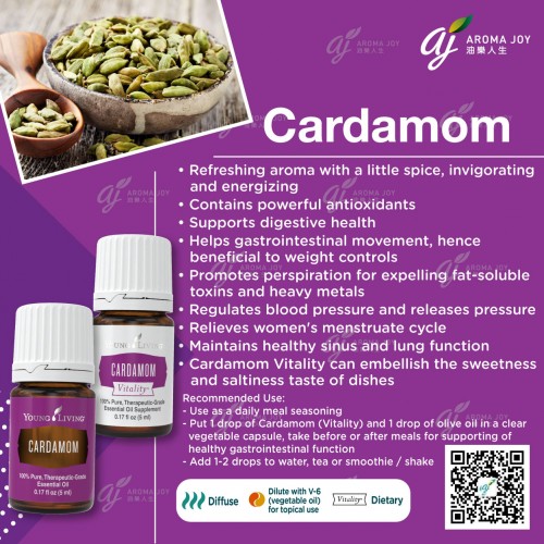 Cardamom 豆蔻