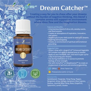 Dream Catcher 捕夢者