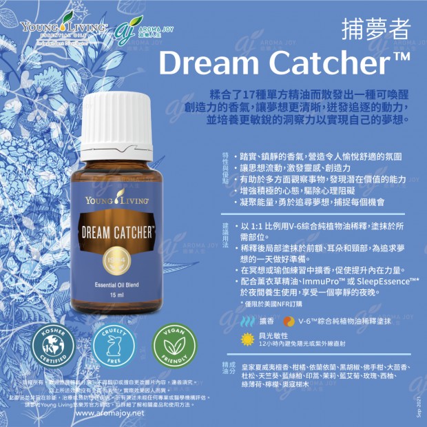 Dream Catcher 捕夢者