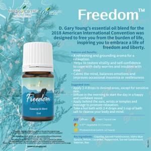 Freedom 自由