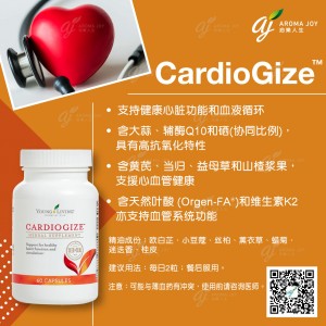 Cardiogize