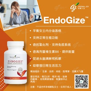 EndoGize