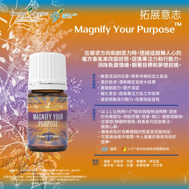 Magnify Your Purpose 拓展意志