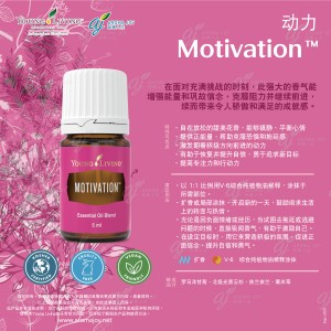Motivation 激發