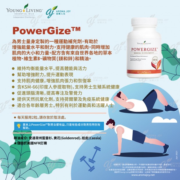 PowerGize