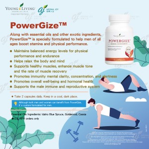 PowerGize