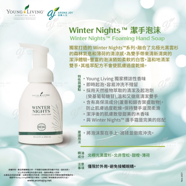 Winter Nights Foaming Hand Soap 潔手泡沫