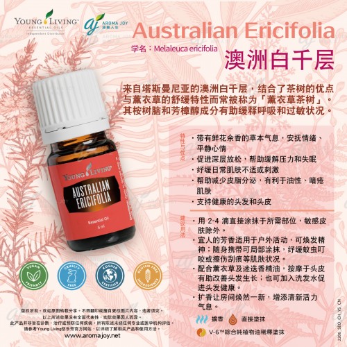Australian Ericifolia 澳洲白千層