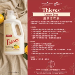 Thieves Laundry Soap 盜賊潔衣液