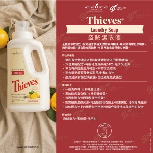 Thieves Laundry Soap 盜賊潔衣液