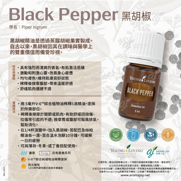 Black Pepper 黑胡椒