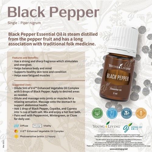 Black Pepper 黑胡椒