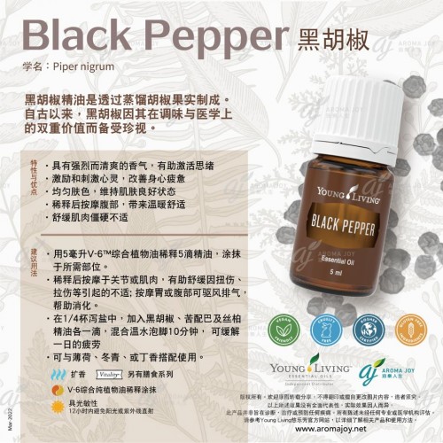 Black Pepper 黑胡椒