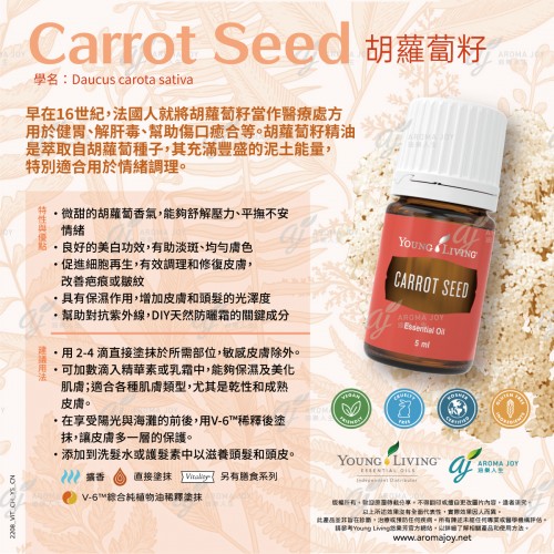 Carrot Seed 胡蘿蔔籽