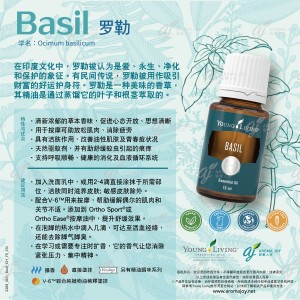 Basil 羅勒