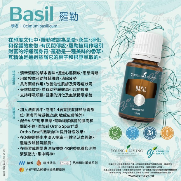 Basil 羅勒