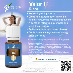Valor II 勇氣II 