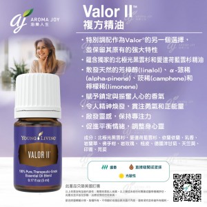 Valor II 勇氣II 