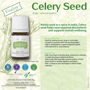 Celery Seed Vitality 芹菜籽精油調味料
