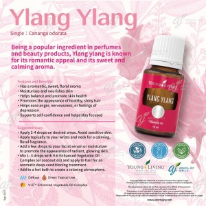 Ylang Ylang 依蘭依蘭