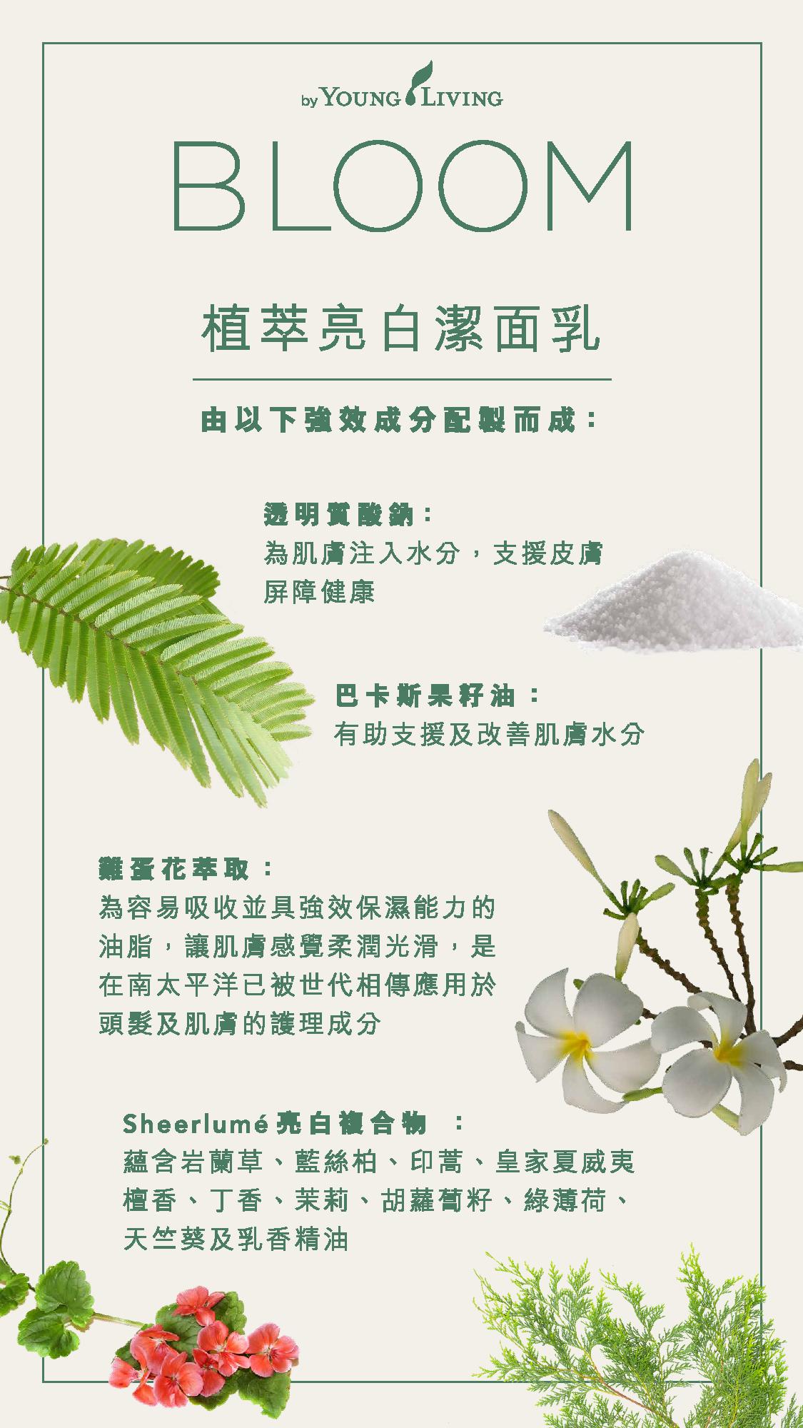 BLOOM淨白亮肌系列 產品資訊