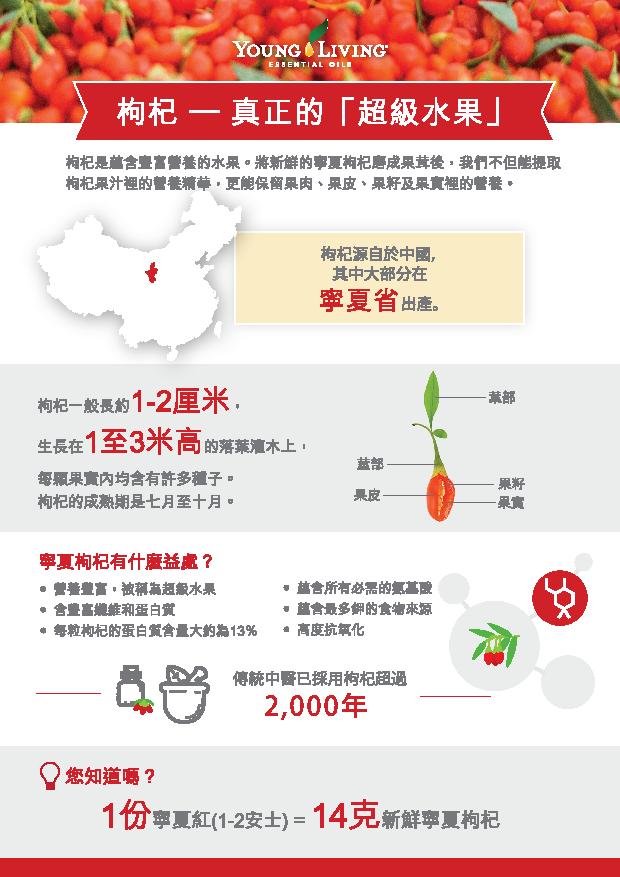 枸杞宣傳冊