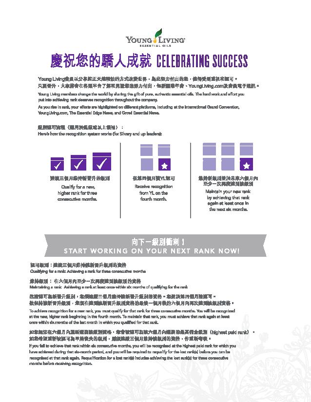 級別晉升推廣單張