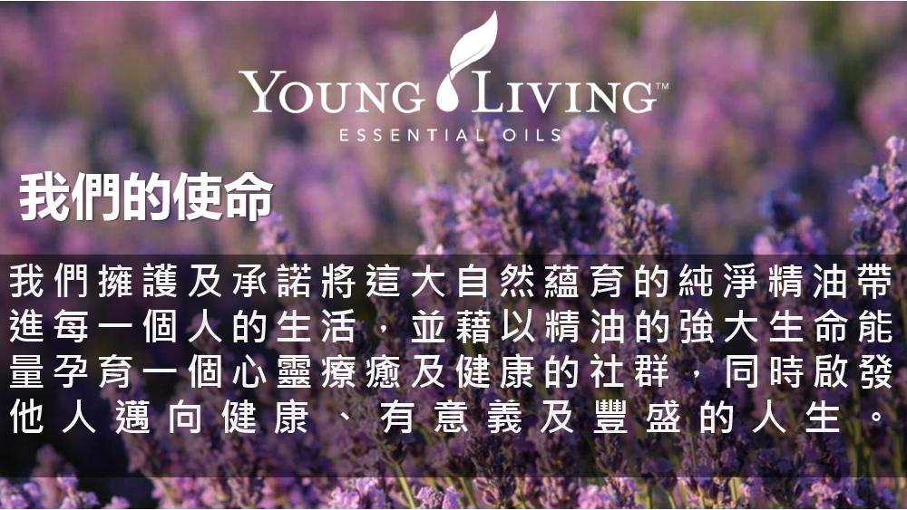 Savvy Minerals天然礦物彩妝系列市場潛力