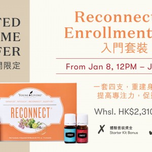 YLHK 全新Reconnect 入門套裝