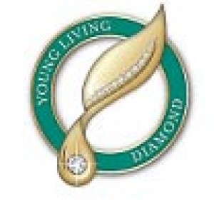 YL 培訓獎賞之旅