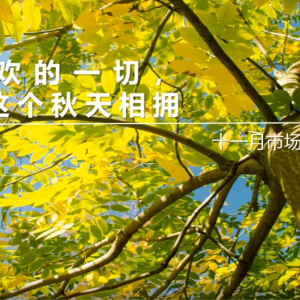 掌握中國悠樂芳線上「11月市場 及 業務重點」(普通話)