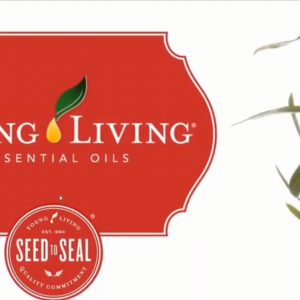 芳韻同行 女性健康悅己精油 (普通話)