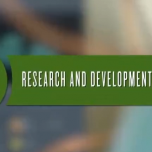 葉息舒養-葉片類精油療愈指南 (普通話)