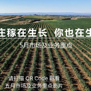 國內悠樂芳市場 5 月重點
