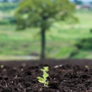 種子到封密 Seed To Seal