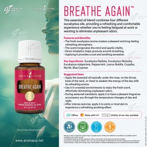 Breathe Again 複方