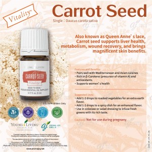 Carrot Seed Vitality 胡蘿蔔籽精油調味料