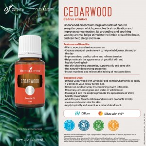 Cedarwood 北非雪松