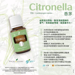 Citronella 香茅